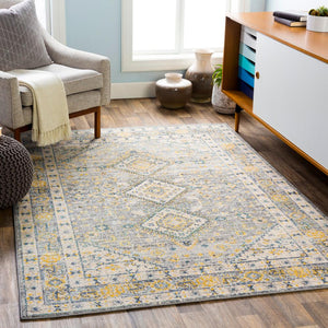 Livabliss City Light CYL-2320 Traditional Area Rug