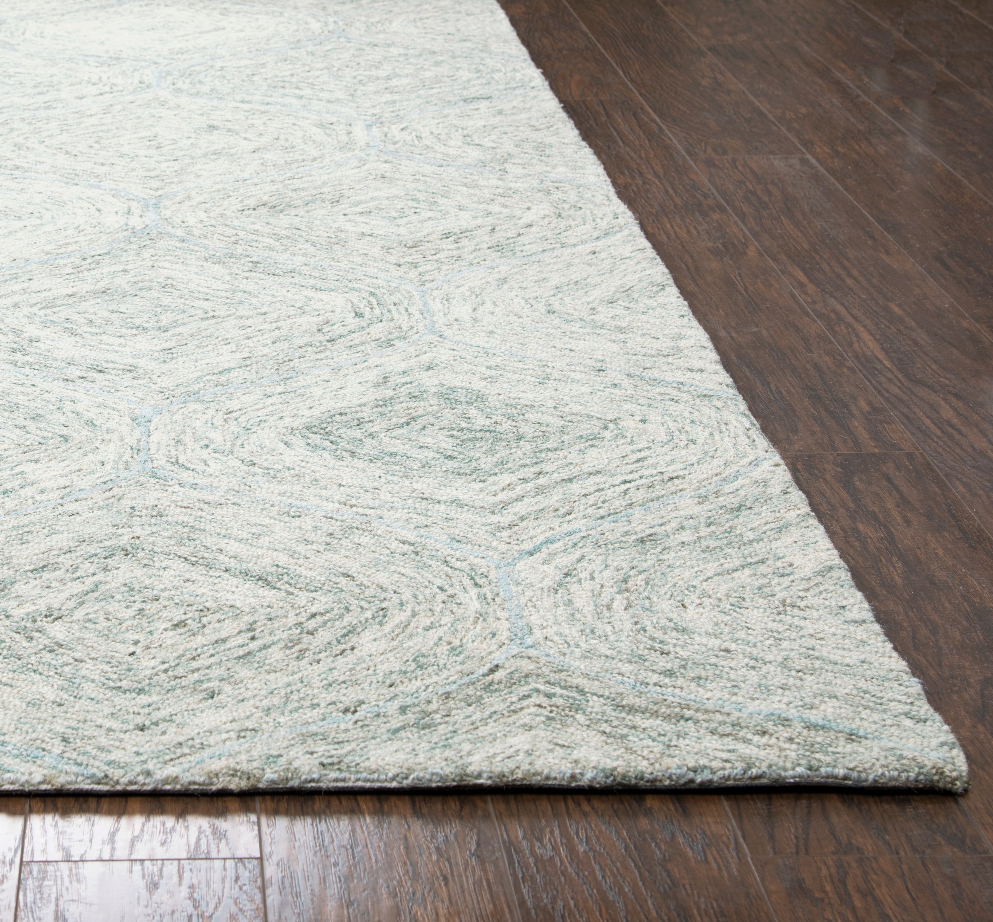 Rizzy Home Brindleton BR364A Green Trellis Area Rug