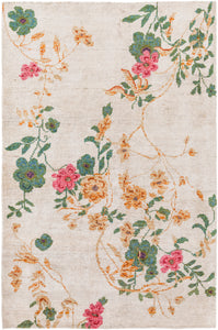 Surya Linnea LIA1002 Neutral/Pink Floral and Paisley Area Rug