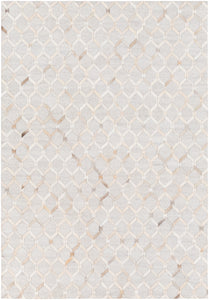 Surya Medora MOD1005 Brown/Neutral Hides and Leather Area Rug