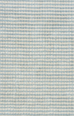 Rizzy Home Platoon PL1333 Blue/Gray Checker Area Rug