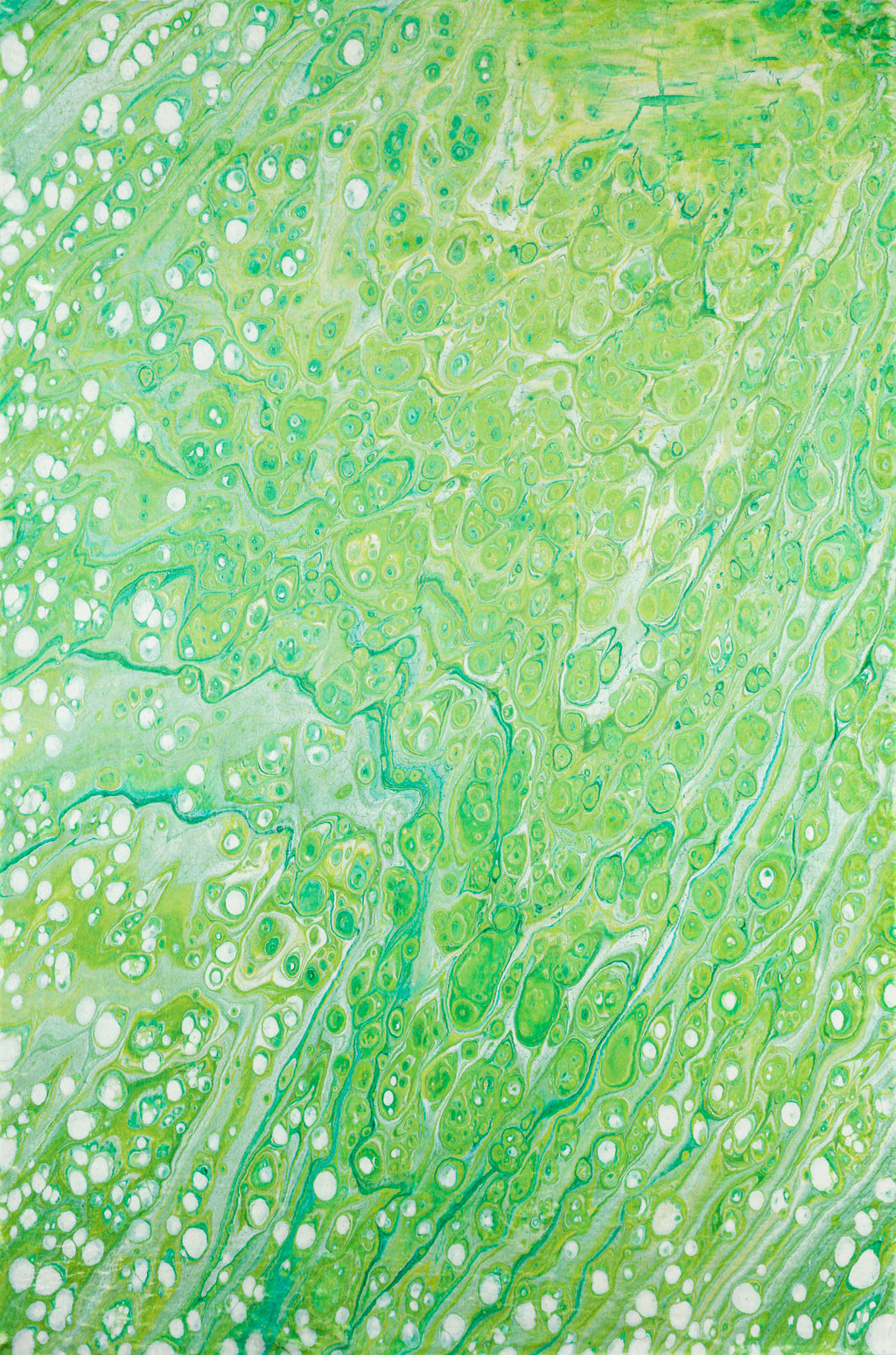 Dalyn KK5 Lime In Area Rug