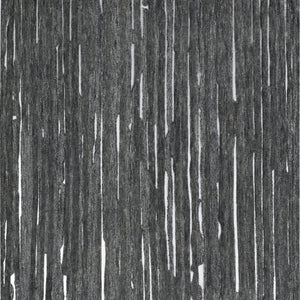 Dalyn VB1 Black Area Rug